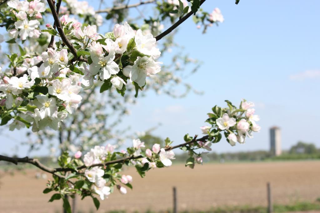 De Nachtdijk Bed and Breakfast Wijk bij Duurstede Εξωτερικό φωτογραφία